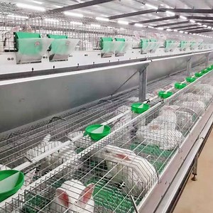 [Hot Item] Factory Direct Meat Rabbit Cage European-Style Rabbit Cage
