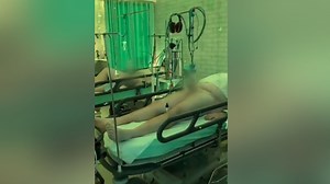 Jordan Peterson Very Concerned by Milking Porn Factory