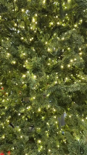 Our 20-foot holiday tree has officially been revealed at the RPL Main Library, and we are excited to announce the launch of the 20-Foot Tree Holiday Photo Challenge. To participate, visit the library, take a photo with the tree, and share it on Facebook or Instagram using #RPLJoySpot while tagging @RPLibrary. Four winners will be selected in these categories: • Most Creative Composition • Lone Superstar • Most Festive Family/Group • Best “Hidden in the Books” Shot All winners will be announced o