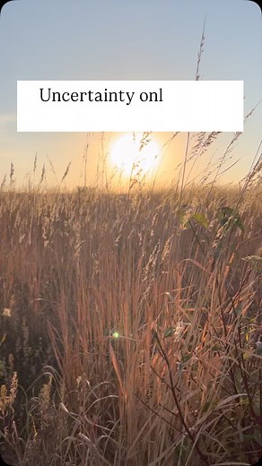 There’s a lot of uncertainty right now circling around agriculture. Significant, stifling flaws were found in the food system after 2020 along with continued degradation of the soil. Couple that with current events and it puts the average American in a rocky boat. Today, without advanced planning your food choices are limited in both quantity and quality. Uncertainty is inevitable in agriculture but we are limiting the number of factors with the ability to disrupt our stability. Producing our ow