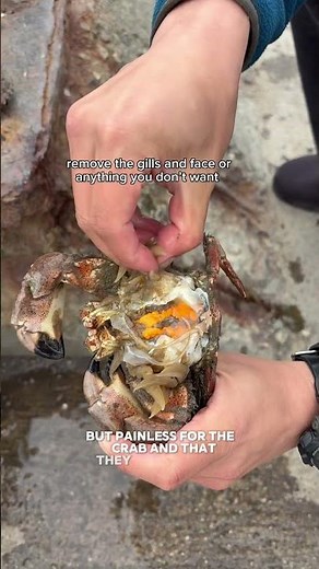 🦀 how to clean a crab #fishing #crabbing #crab #catchandcook