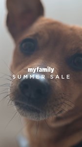 💦 Splash into summer savings! Premium pet accessories up to 50% off 🐾 www.myfamily.it 🇮🇹 400 Made in Italy items 📦 Free EU Shipping | MyFamily