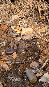 Dead Horse Bay Never Dissapoints 🐎 #magnetfishing #brooklyn #deadhorsebay #mudlarking #fyp #river #magnetfishingfinds #fishing #bottledigging #happy #family #funny #reel #viral #usa #love #reelfb #viralreel | Senan Stanley Fishing