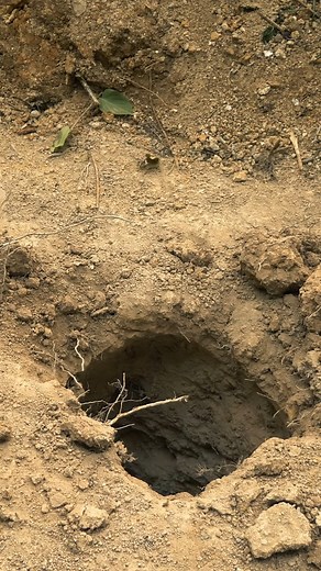 Building massive chimney in survival hole #building #survival #bunker #apocalypse #shelter #survive #video #fyp | Adventures camp