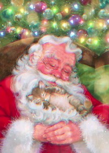 Merry Christmas Everyone! | Sparkle and Shine