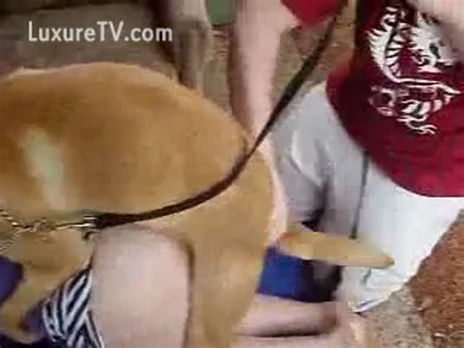 Curious MILF lifts her dress for a zoophilia encounter with a large K9