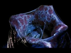 Alien vs. Predator-Trailer Deutsch