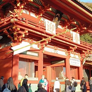 Cebu Go Go Adventure on Reels