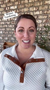 How I grow vegetables all winter long! #gardening #garden #wintergarden #coldframe #gardentips #gardeninspiration #gardenideas #spinach #kale #plants | From Dream to Seed