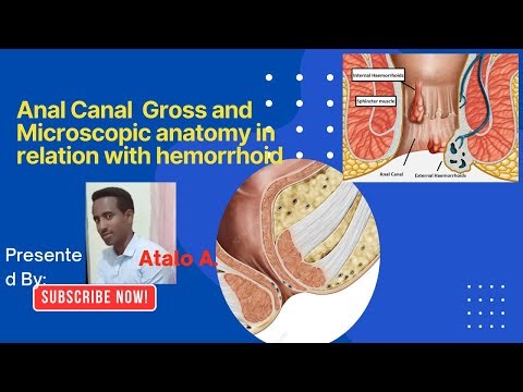 ANAL CANAL ANATOMY