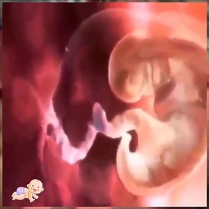 3.6K views · 119 reactions | 4 minutes to watch the process of forming a baby #babylove #baby #newborn | Baby House TV | Facebook