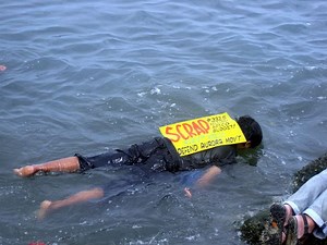 Aurora Pacific Economic Zone and Freeport - Alchetron, the free social encyclopedia