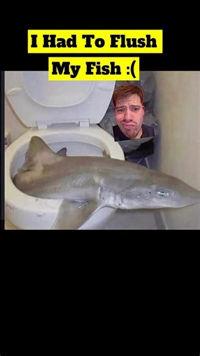 Sad Times :( #funny #viral #darkhumor #memes #jokes