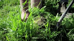 13K views · 782 reactions | Norco Milk on Reels | Facebook