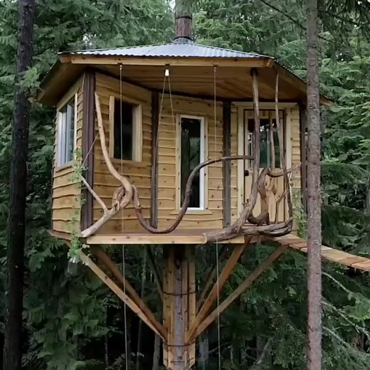 1.2K views · 37 reactions | Treehouse with bicycle elevator #design #architecture #treehouse #reelsviral #reelsvideo #reelsinstagram | Homecrux | Facebook