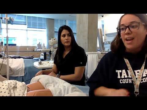 Basic Principles of Nursing Assessment: Genitourinary Assessment