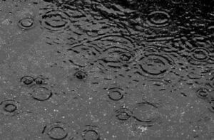 Weather forecast: Afternoon showers expected across most parishes - Jamaica Observer