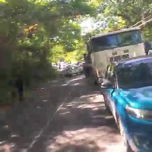 2.1K views · 15 reactions | Lacovia, St Elizabeth protest | Kamla The Ripe Mango | Facebook