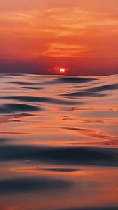 50 reactions · 23 shares | @platoux | Visual Cortex | Facebook