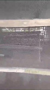 FOR SALE..FOR SALE INVESTORS DELIGHT WITH HUGE BENEFITS A MEGA FUNCTIONAL FARM, SITTING ON 70 PLOTS OF LAND AND COMES WITH A LIVE IN APARTMENT AND OTHER BUILDINGS PLUS POULTRY, PIG SECTION, PALM PLANTATION, COCOA PLANTATION..ETC for sale. TITLE : C of O PRICE: N80m Slightly Negotiable. LOCATION: UMUAGWO, IMO STATE Call 07034513052 Owerri Luxury Property Search International #cubanachiefpriest #farmersmarket #akulo #IgboAmaka | Prince Kelechi Iwueze | Facebook