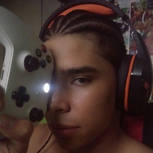dani_magneto - Twitch
