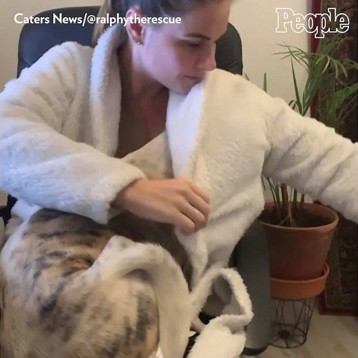 Ralphy is one cozy pup! 🐶 | People