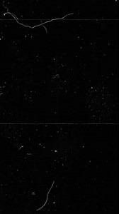 29K views · 356 reactions | Erase your private search history. ......