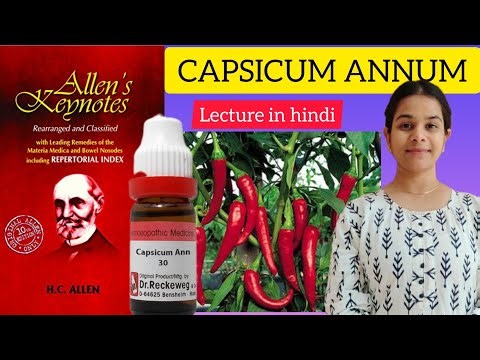Capsicum annuum homeopathic medicine ||Allen's keynotes materia medica in hindi easy explanation