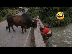 Try Not To Laugh 🤣 Top 100 Funniest Videos Ever | Memes, Epic Fails & Pranks Compilation 2026 Part 6