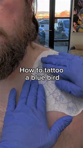 How to tattoo a Blue Bird 🐦💙Stencil ➝ smooth blends ➝ crisp highlights.