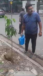 Today plantation is carried out at Woodburn Road within Ward No 70. | Ashim Basu