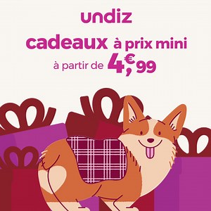 Noël approche à grands pas, l'occasion de trouver le cadeau idéal à offrir !🎁 Découvrez notre sélection à prix mini et shoppez nos pépites pour Noël 😍 | undiz