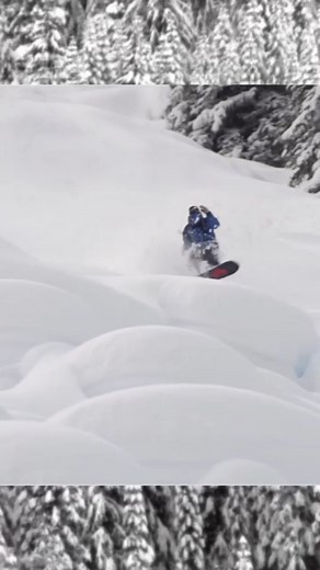 📹 from @lucey @austensweetin at @stellarheli for BLUR. Link @lucey bio . . . . ... ...#heliboarding #snowboarding #skiing #stellarheli #StellarHeliskiing #powdersnow | Stellar Heliskiing