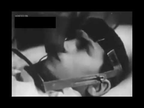 HUMAN EXPERIMENT -Paplov Conditioning - Human Subject