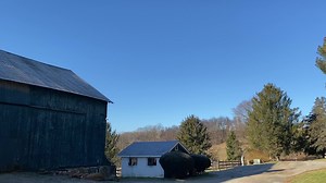 Another swarm of red wing blackbirds today ‍⬛ | Watermark Farm | Facebook
