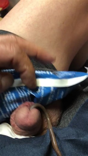 Big dew worm in my meato dicklet