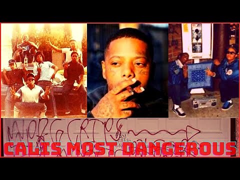 Who are the Playboy Gangster Crips? |The story of one of West Los Angeles most dangerous crip gang.