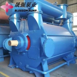 [Hot Item] Low Pressure Water Circulating Liquid Ring Vacuum Pump for Industrial Boilers