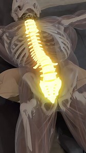 This position restores pressure balance, improves blood flow, and helps the nervous system relax after long hours of sitting. #synermuscle #backpain #mobility #recovery | SynerMuscle