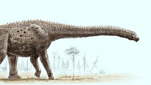 Paleontologists Digitally Reconstruct Giant Dinosaur Argentinosaurus | Sci.News