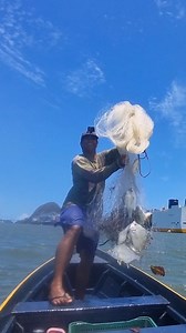 Cardume de carapeba na tarrafa no porto de vitória! | Guilherme Oliveira