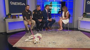 Academy Award-winning actor James Coburn dead of a heart attack at 74