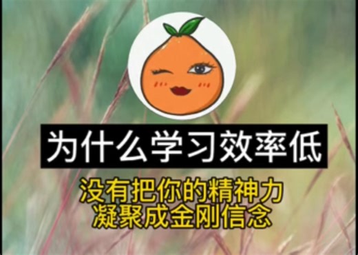 为什么学习效率低