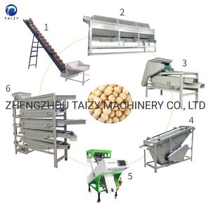 [Hot Item] Automatic Walnut Shelling Machine Almond Cracker Macadamia Nuts Processing Machine