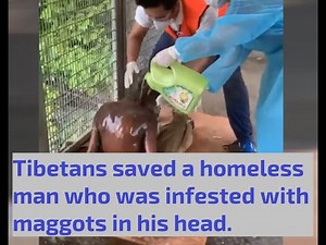 TIBETANS SAVED A HOMELESS MAN WHO WAS INFESTED WITH MAGGOTS IN HIS HEAD | COVER STORY