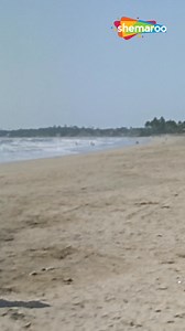 648K views · 13K reactions | Na Na Karte Pyar Tumhi Se | Jab Jab Phool Khile #ShemarooFilmiGaane #BollywoodRetroSongs #RetroVibes #reels #songreels #JabJabPhoolKhile | Filmi Gaane | Facebook