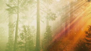 Akulah Kekasihmu - AXL | Video lagu jiwang