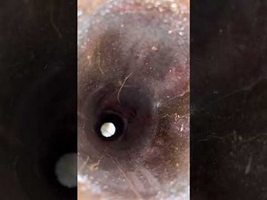 American Standard Water heater Won’t Light. Simple fix