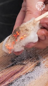 Testing Science Myths! | Crafty Panda