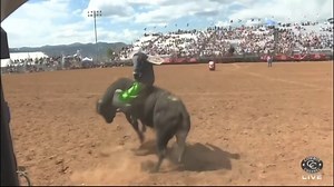 38K views · 849 reactions | Hawk Whitt and 870 Dennis for 85!! @TakeTheOathXtremeBulls | Honeycutt Rodeo Inc. | Facebook